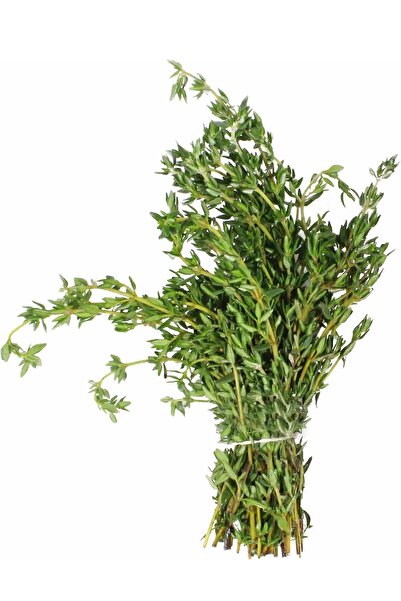 Genel Markalar Yerli Taze Kekik Tohumu 100 Adet