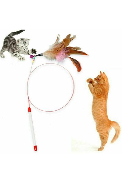 Wanderlust Cat Play Kitten Play Rod Fun Kitten Toy Feather Rod 1pc