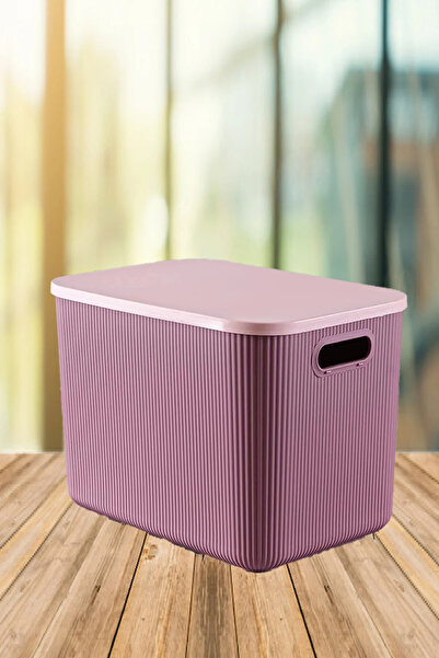 Bayev 4 Pieces 21 Lt Storage Purple Closet Organizer Toy and Laundry Basket Clothes Storage Box