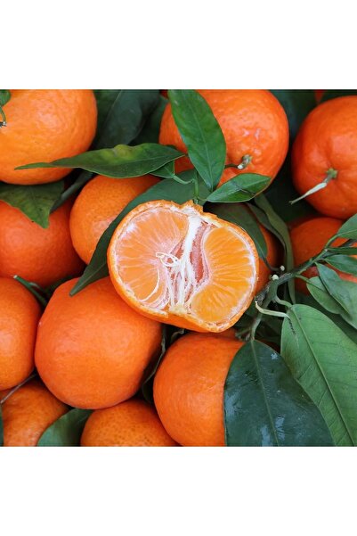 ARI ORGANIC Mandalina 1 Kg