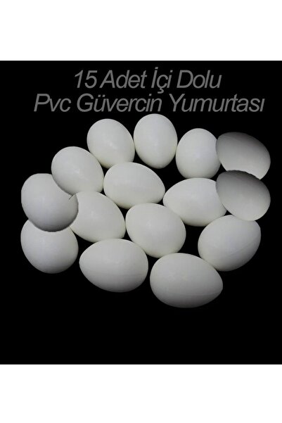 usmtekno 15 Adet Güvercin Folluk Yumurta içi Dolu Pvc Sahte Güvercin Yumurtası Plastik Kuş Yumurtası