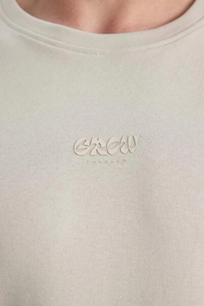 DeFacto B4220AX/GR437 Defacto Чоловіча футболка STONE