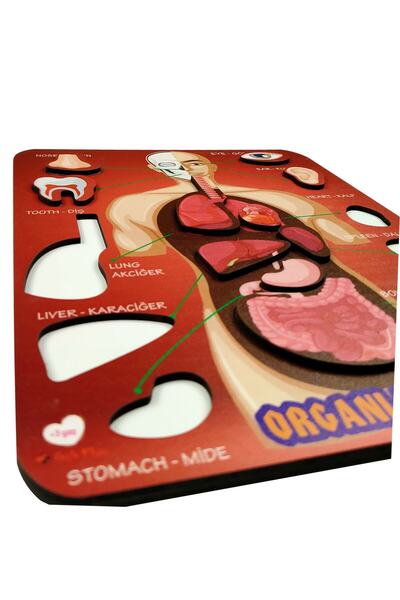 gift plus Organlarımız Eğitici Ve Öğretici Oyuncak Bultak Yapboz&puzzle