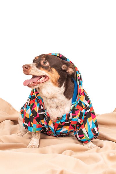 petadora Dog Coat Raincoat Coat Dog Coat Dog Apparel Dog Raincoat
