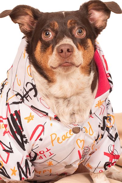 petadora Dog Coat Raincoat Coat Dog Coat Dog Apparel Dog Raincoat