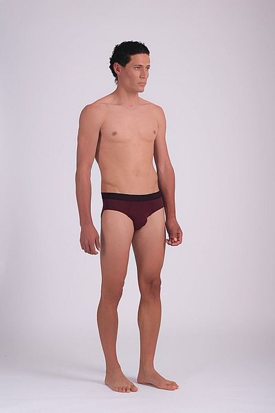 Dagi Burgundy Micro Modal Slip Panties