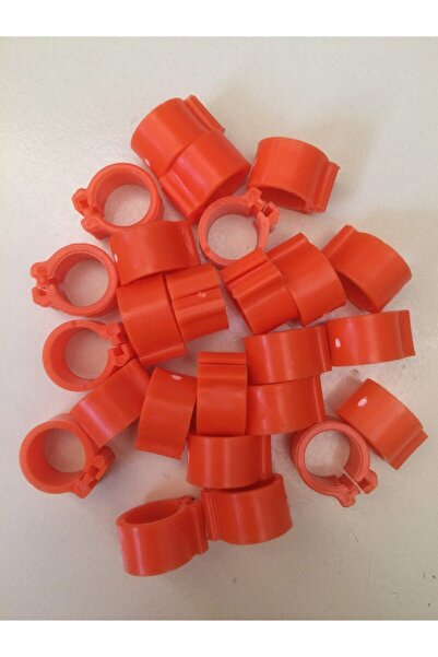 Storm 30 Adet Güvercin Bilezik