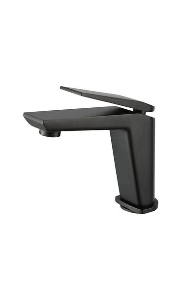 FLEKO Matte Black Sink Mixer