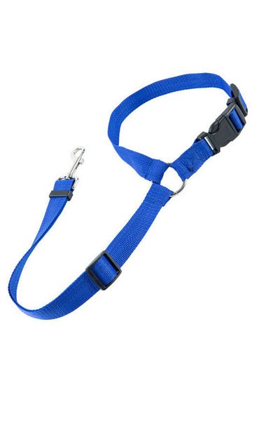 RAIKOU Dog Seat Belt & Collar