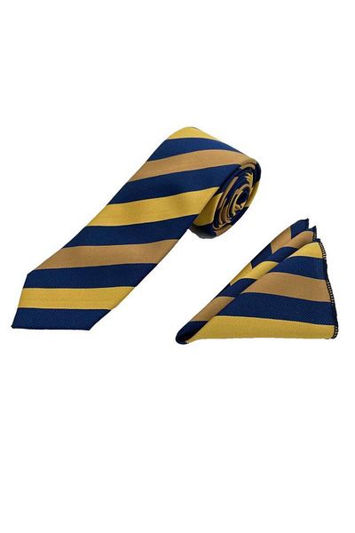 Brianze Κίτρινο χρυσό Navy Blue ριγέ μαντήλι γραβάτα