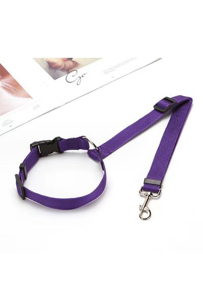 RAIKOU Dog Seat Belt & Collar