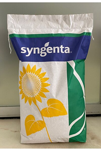 SYNGENTA AYÇİÇEK TOHUMU SY ROSETA CLP