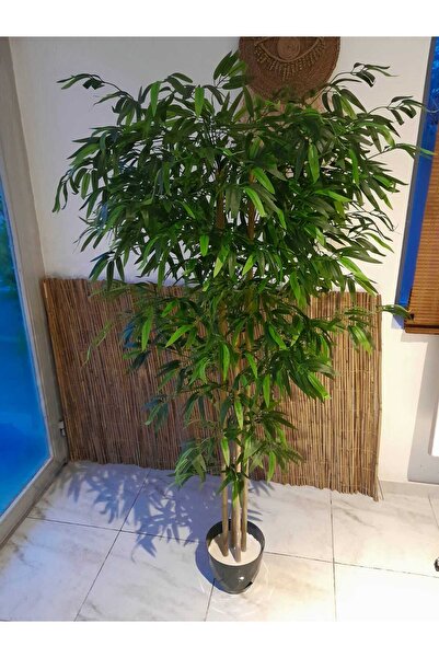 YEŞİLADA Yapay Bamboo Ağacı 1.65 Mt Boy Bambu Çubuk Seperatör Gövdeli Şelale Ağaç