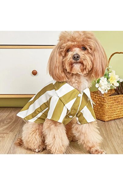 KÖPEK/KEDİ ÇİZGİLİ GÖMLEK