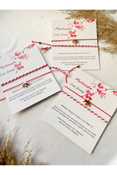 Atölye Merdiven 3 lü hediyelik marteniçka dilek bilekliği seti kırlangıç