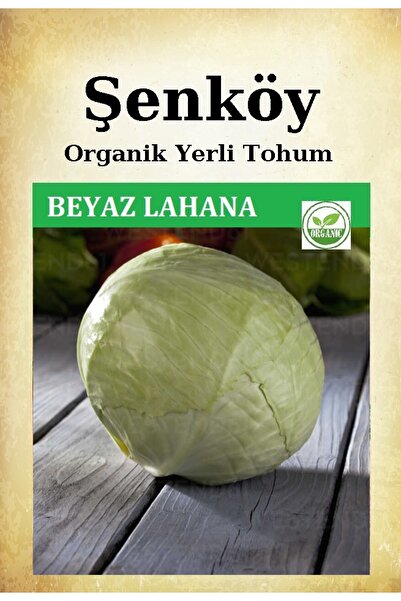 Şenköy Yerli Beyaz Lahana Tohumu Doğal Ata Niğde Turşuluk Sarmalık Lahana Toh...