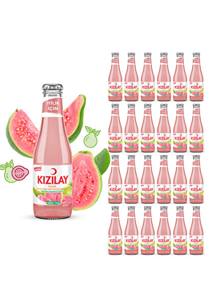 Kızılay KIZILAY MADEN SUYU DOĞAL GUAVA AROMALI 200 ML X 24 ADET