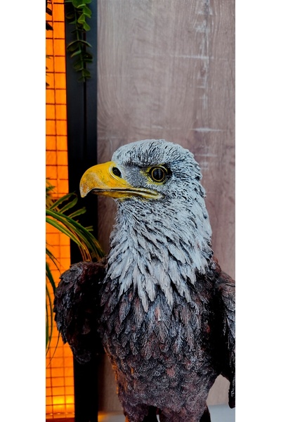 Lina Art hediyelik Dev Boyut Keskin Kartal , Ofis , Büro Hediyelik