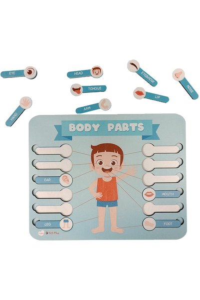 gift plus English Male Body Parts Puzzle Jigsaw Puzzle Educational Toy