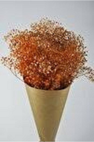 Nikah Şekeri Market Δώρο στολίδι με ξηρό λουλούδι Cipso