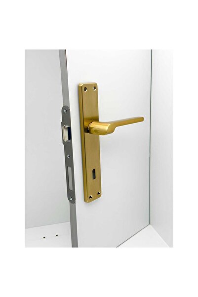 KOLDOOR Tutku Titanyum Gold Lüx Aynalı Oda Kapı Kolu 2 Takım