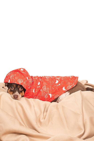 petadora Dog Coat Raincoat Coat Dog Coat Dog Apparel Dog Raincoat