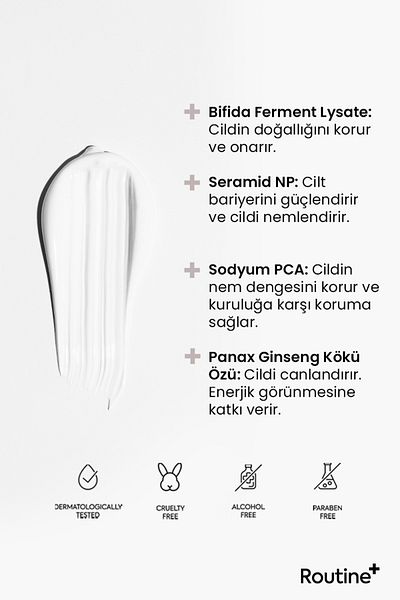 Routine+ Night Cream - Moisturizing and Moisturizing Effect