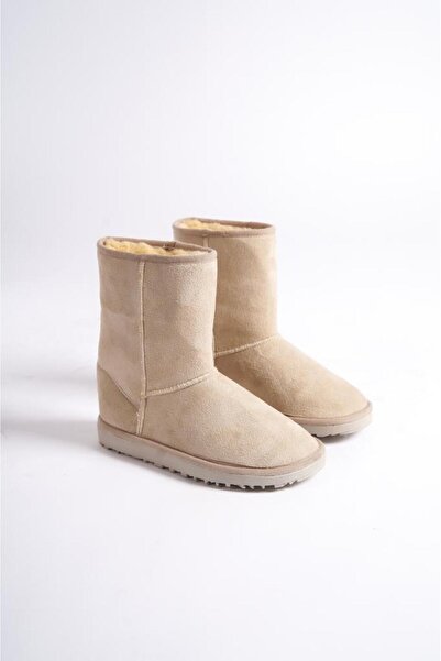 ibrahim müslü Bej Tüylü Orta Bot