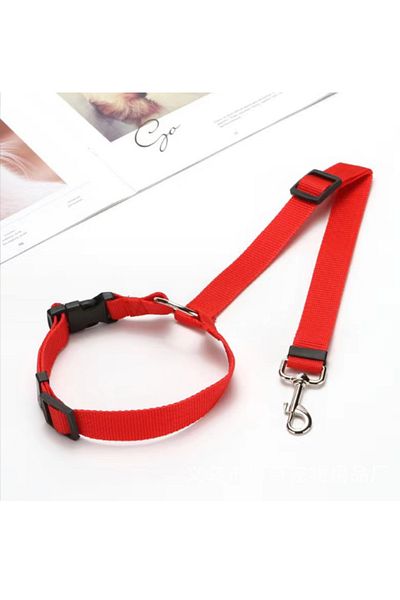 RAIKOU Dog Seat Belt & Collar