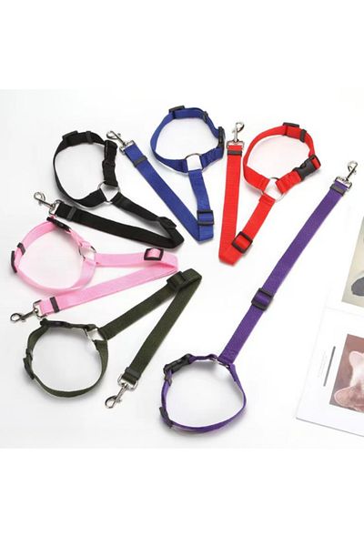 RAIKOU Dog Seat Belt & Collar