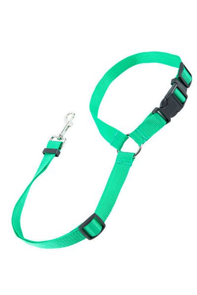RAIKOU Dog Seat Belt & Collar