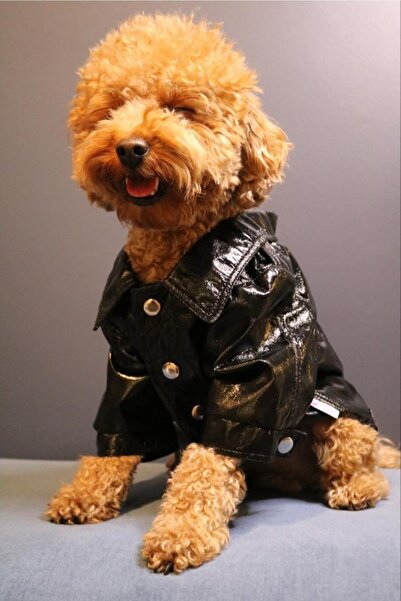 Rheme And Fons Özel Tasarım Couture El Işçiliği Deri Ceket Siyah Kedi Köpek Kıyafeti