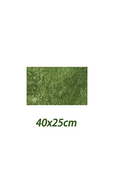 Anka Namiba Terra Canli Bitki Arka Plan Paneli 50 Cm