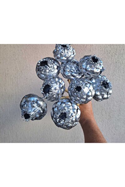 kutmen 5 قطع خرشوف مذهب فضي (زهرة جافة) استوائية