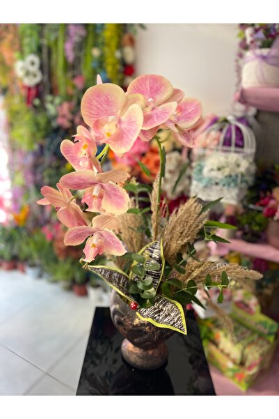 KÜBRA Yapay Vazolu Islak Orkide