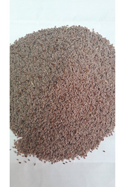 Garden Karnıyarık Otu Tohumu 200gr