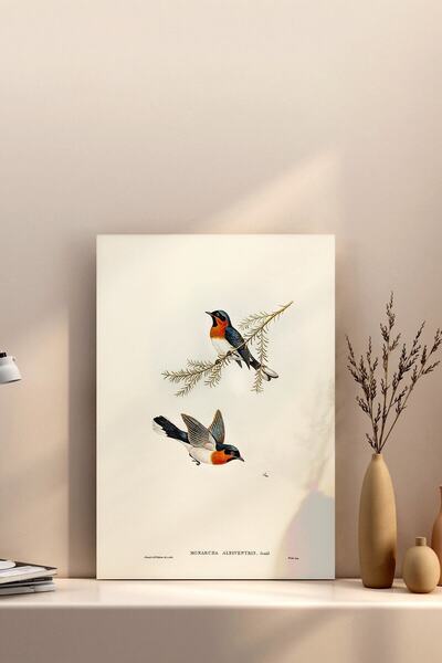 UON Çerçevesiz Premium Bristol Kağıda Uv Baskı Poster