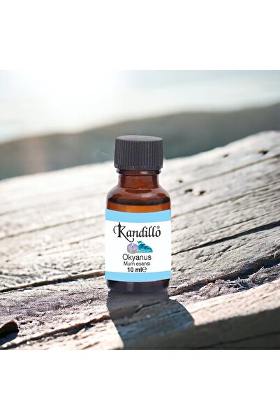 Dünya Magnet Okyanus Mum Esansı, Mum Kokusu, Soya Wax Esansı, Buğurdanlık Yağ...