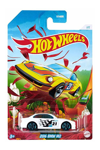 HOT WHEELS 2016 BMW M2 (1/64) Spring 2021 Serisi