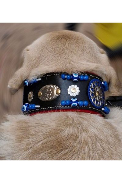 Sürmeli Tasma Large Genuine Leather Dog Collar 1stClassroom