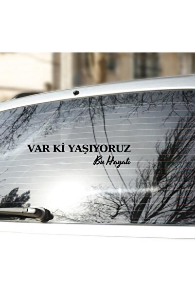 Var Ki Yaşıyoruz Bu Hayatı Araba Camı Yazısı