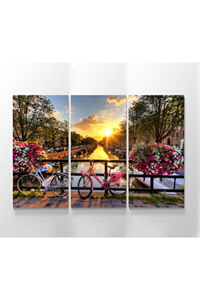 Meteor Galeri Bisiklet Ve Çiçekli Manzara Amsterdam Resimli Kanvas Tablo 30x6...