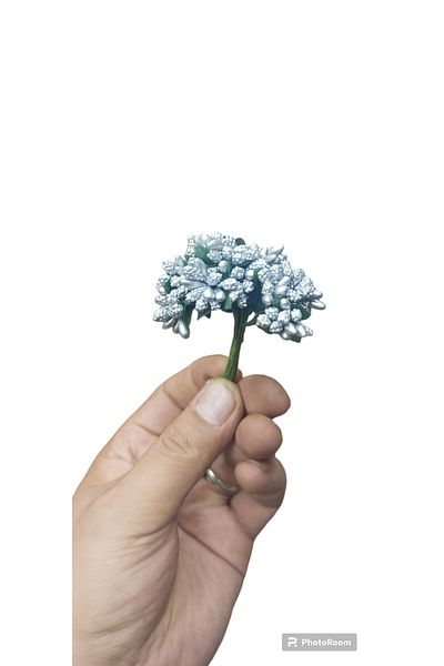 demontecraft Packaging flower 1 mini size