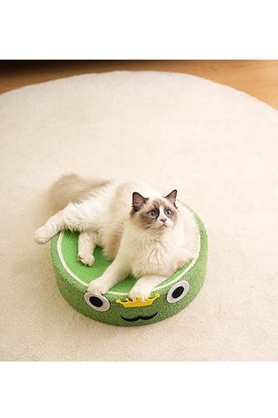 RAIKOU Cat Scratching Area
