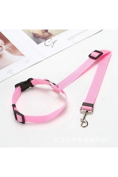 RAIKOU Dog Seat Belt & Collar
