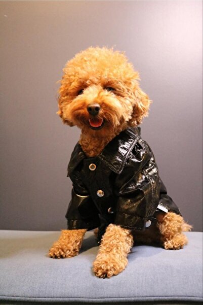Rheme And Fons Özel Tasarım Couture El Işçiliği Deri Ceket Siyah Kedi Köpek Kıyafeti