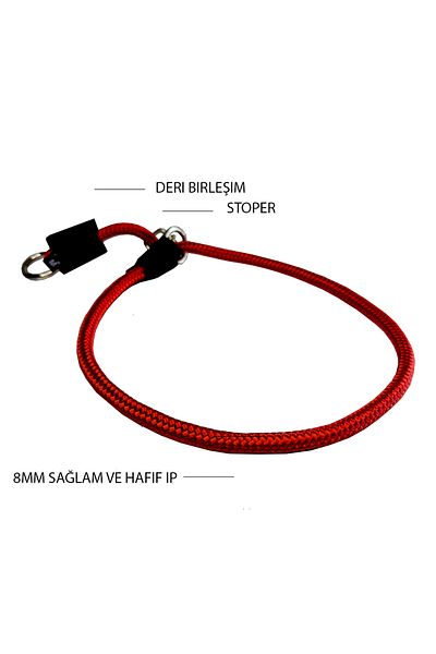 PETSWUU Adjustable Choke Dog Training Obedience Neck Collar with Stopper