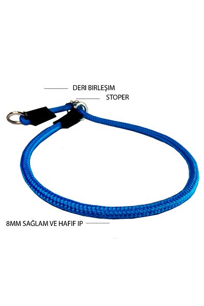 PETSWUU Adjustable Choke Dog Training Obedience Neck Collar with Stopper