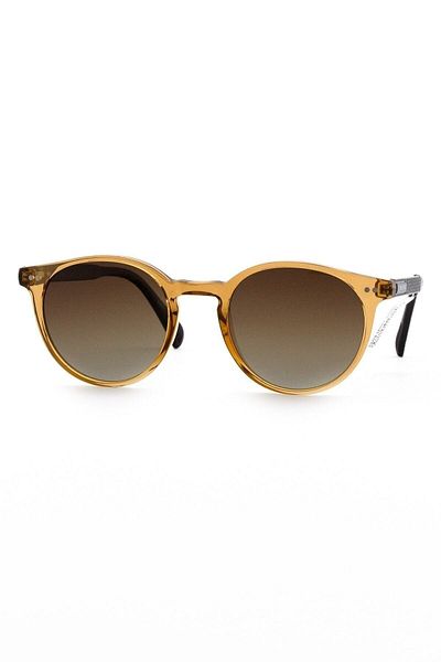Toms Teddy Brown Sunglasses - Tt3069c201p