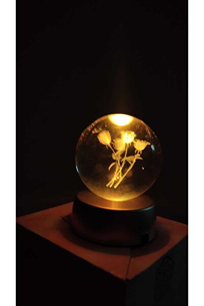 NMARKA Sevgililer Günü Özel Gül Kar Küresi Işıklı Müzikli 3d